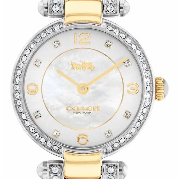 Coach Cary Watch - Picture 3 of 9